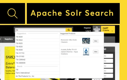 This image showcases our Case Study - apache solr search