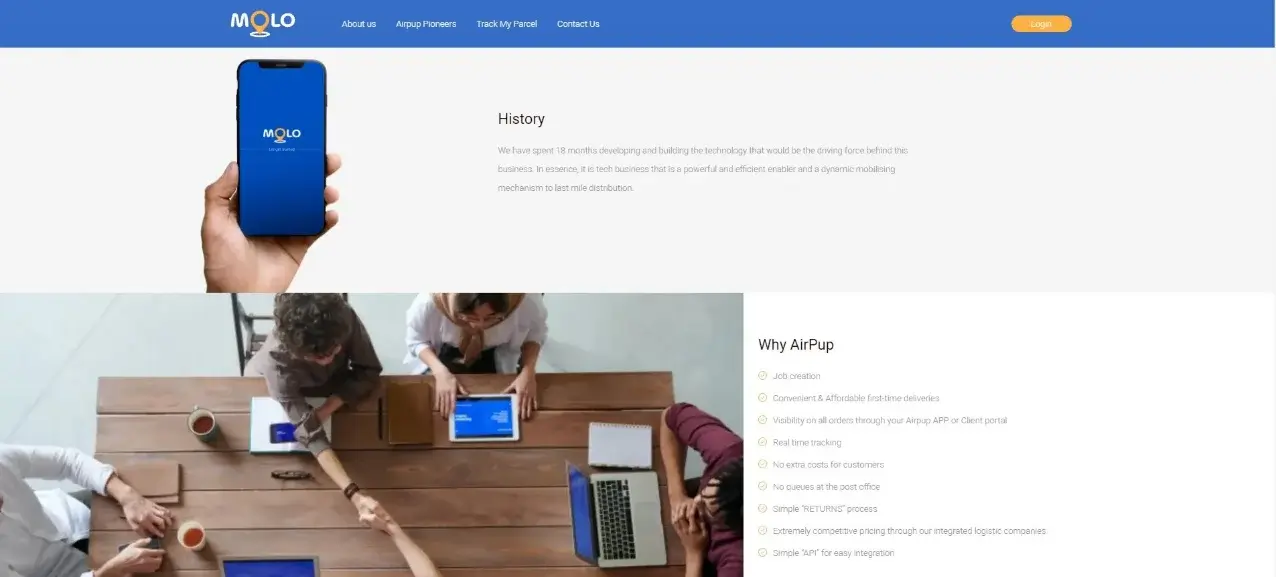 This image displays the MOLO portfolio project, focusing on its responsive design across multiple devices.