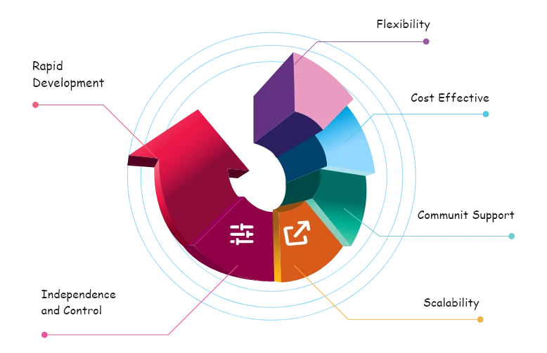 This image represents our Open Source Customization service, highlighting rapid development, flexibility, and cost-effectiveness.
